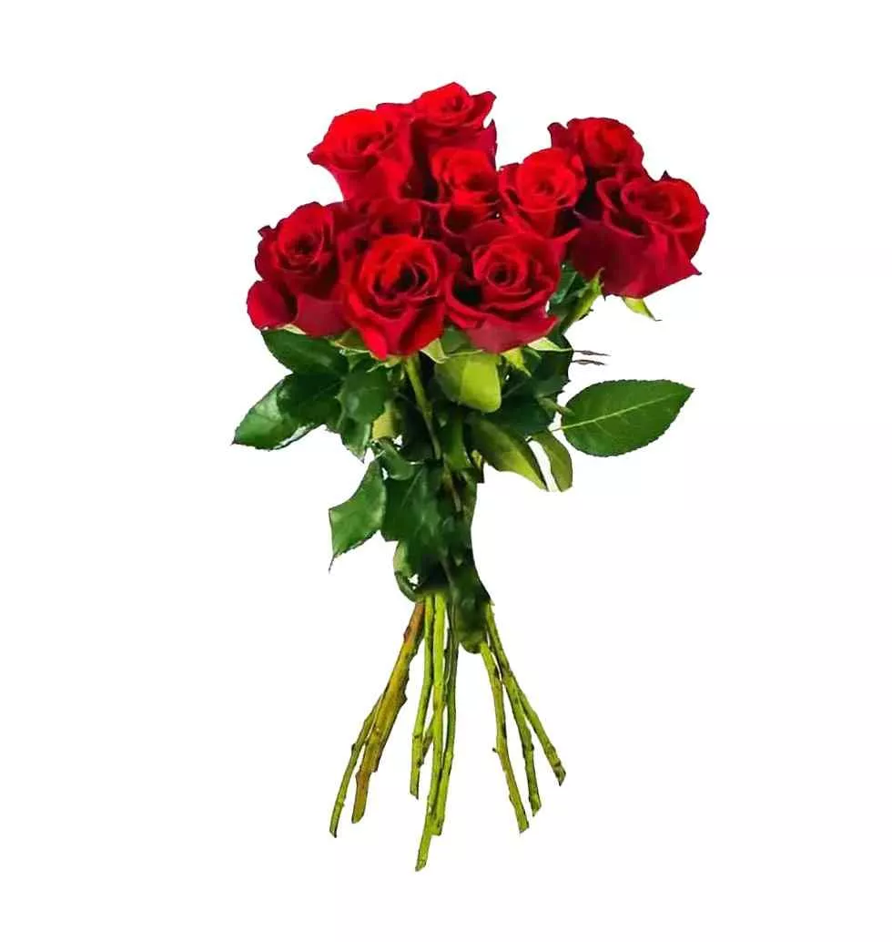 Luxury 10 Rose Bouquet