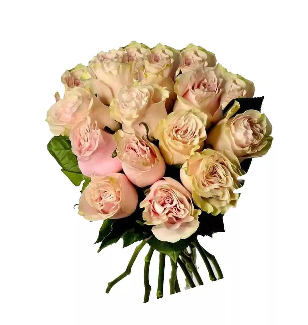 Elegant 18 Pink Rose Bouquet