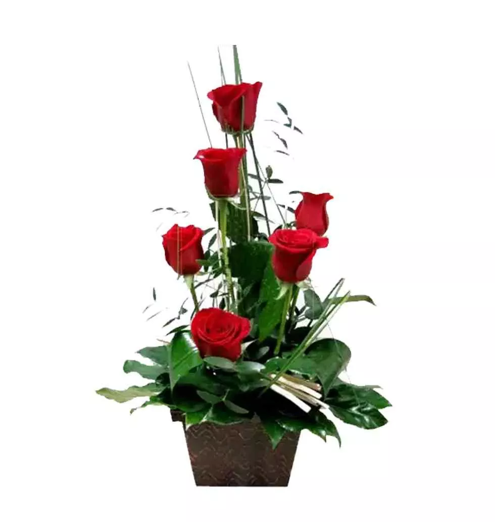 Attention-Getting Selection of 6 Red Roses in a Basket
