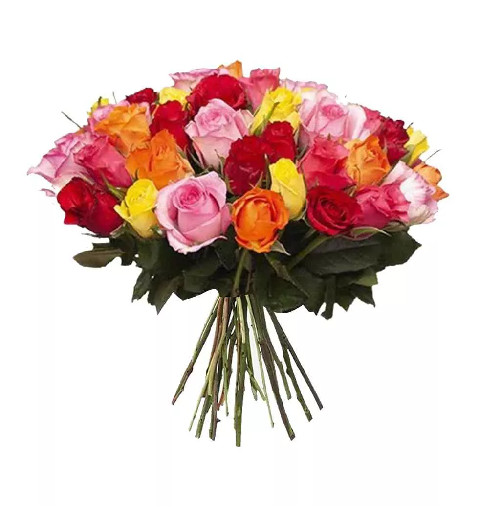 Vibrant Bouquet 50 Mixed Roses