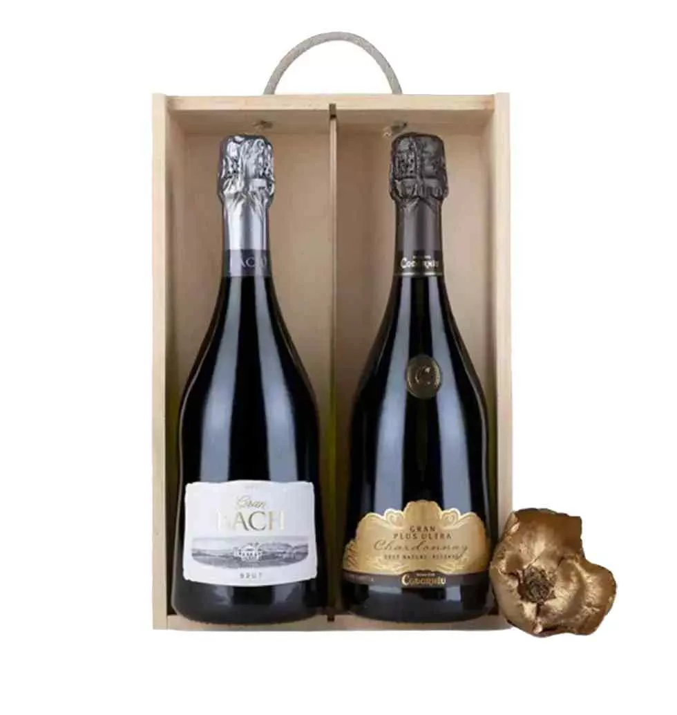 Premium Cava Gift Set