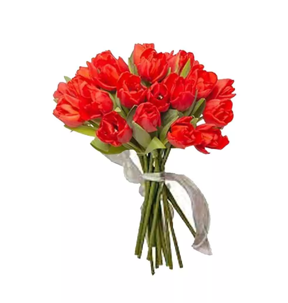 Crimson Radiance A Bouquet of 20 Tulips