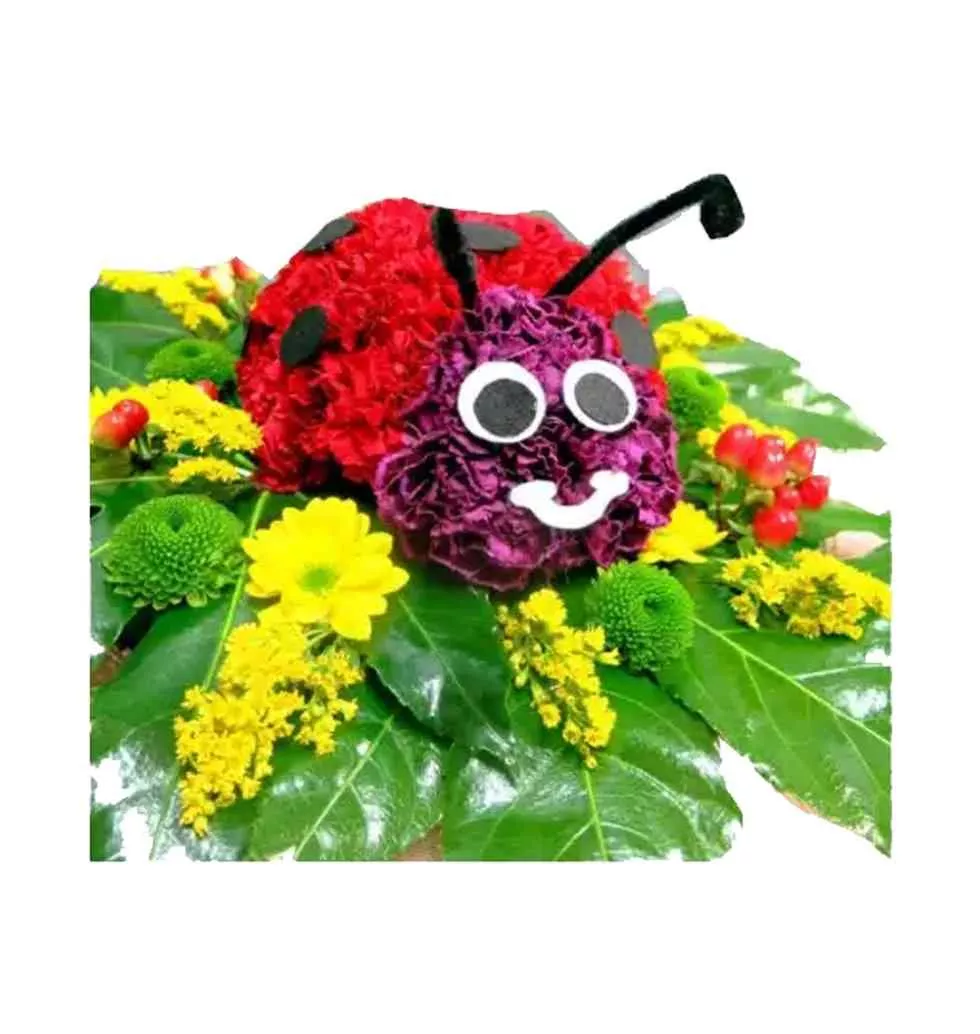 Ladybug Carnation