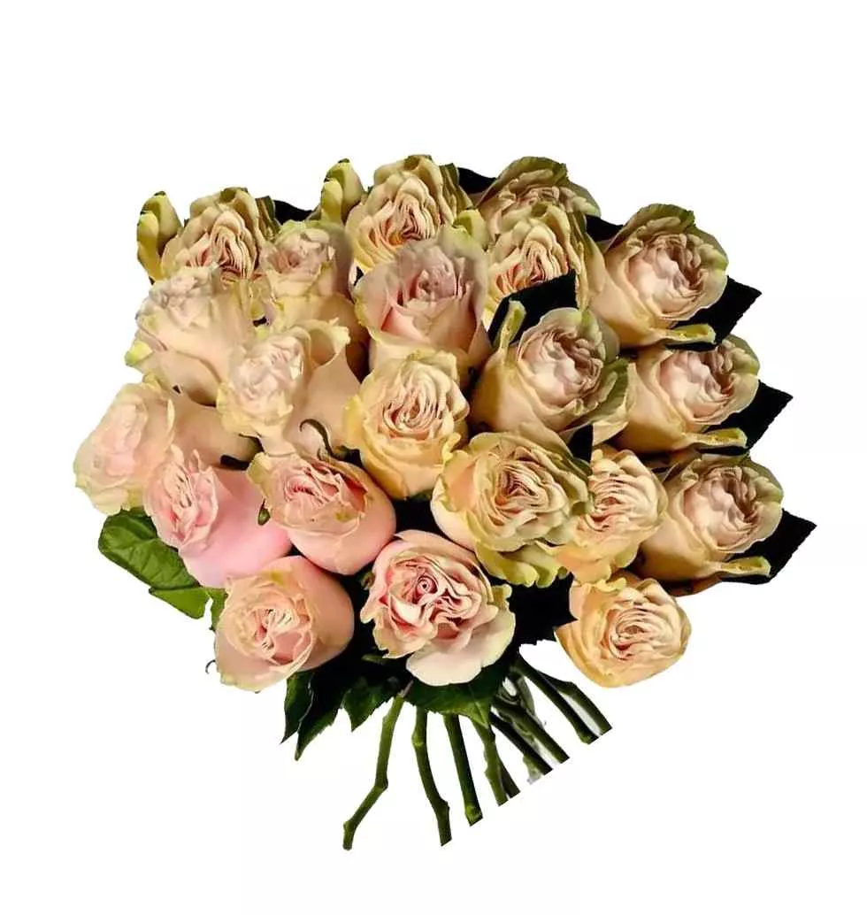 Elegant Bouquet 24 Pink Roses