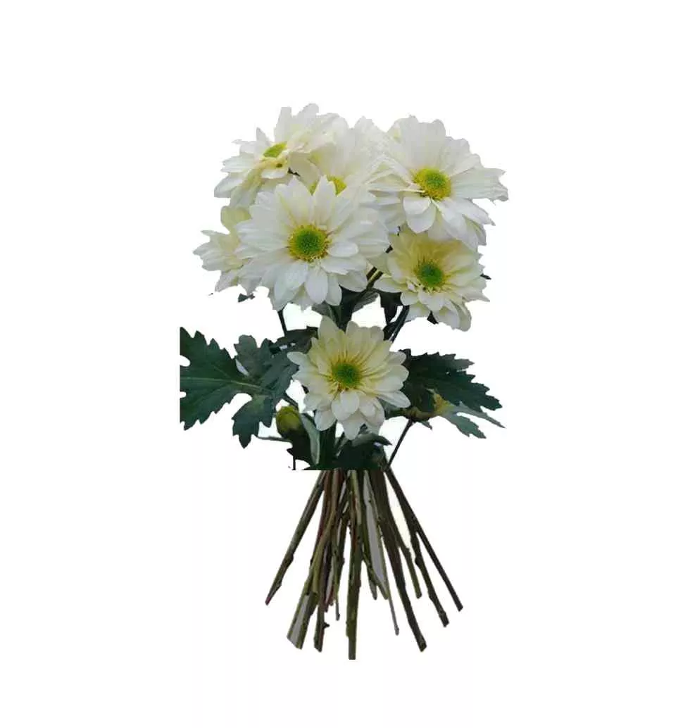White Daisy Serenity Bouquet