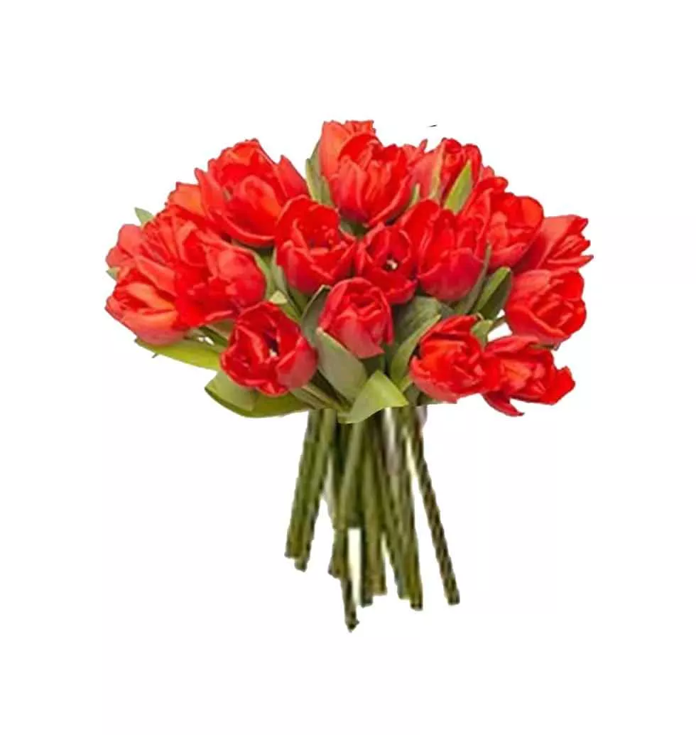 Vibrant Red Tulip Collection