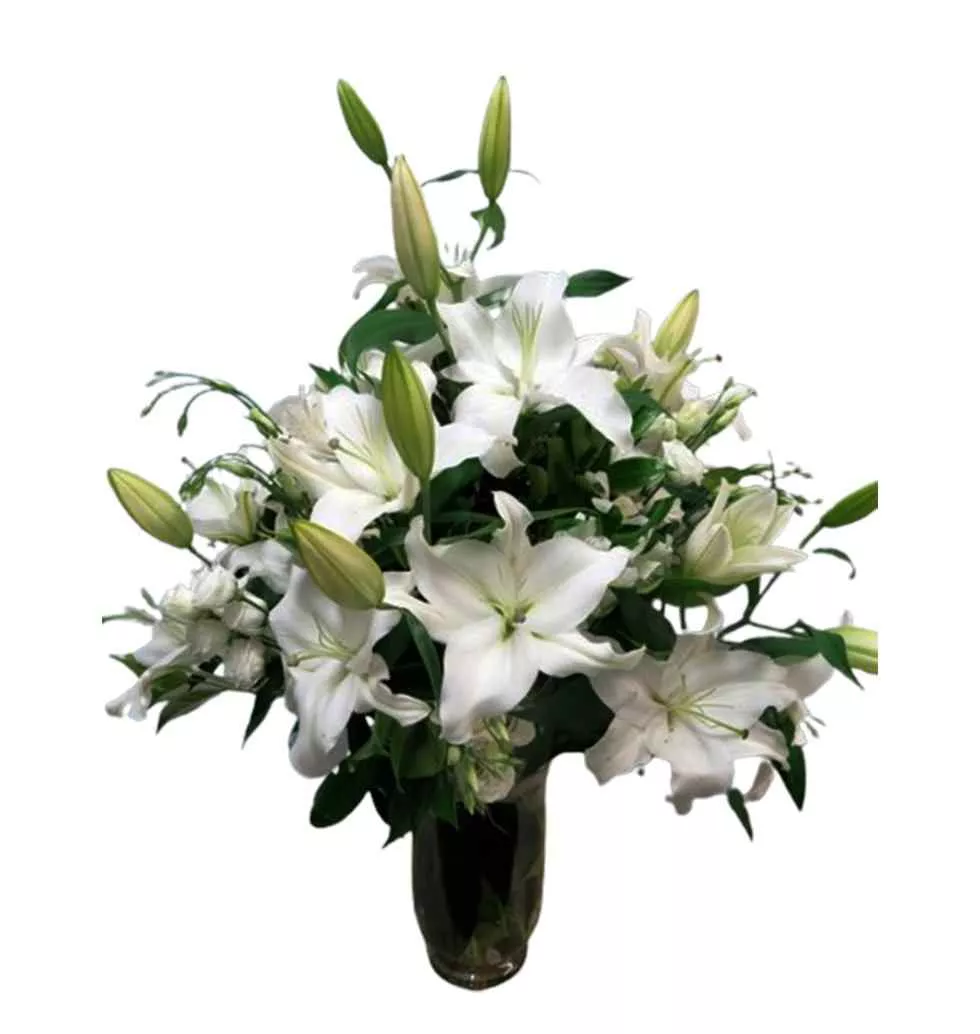 White Lilies In A Pot