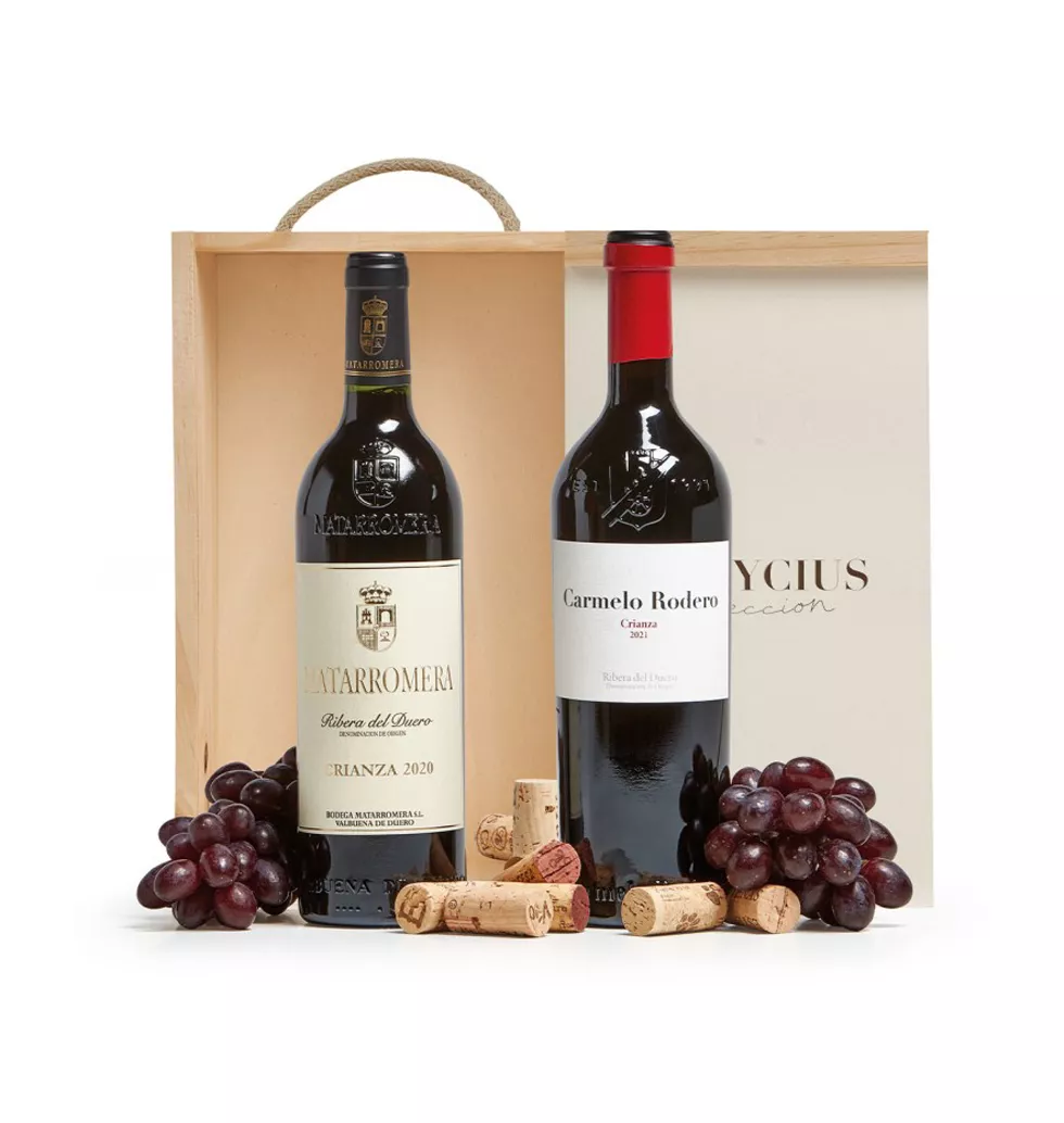 Taste of Ribera: Premium Red Wine Duo