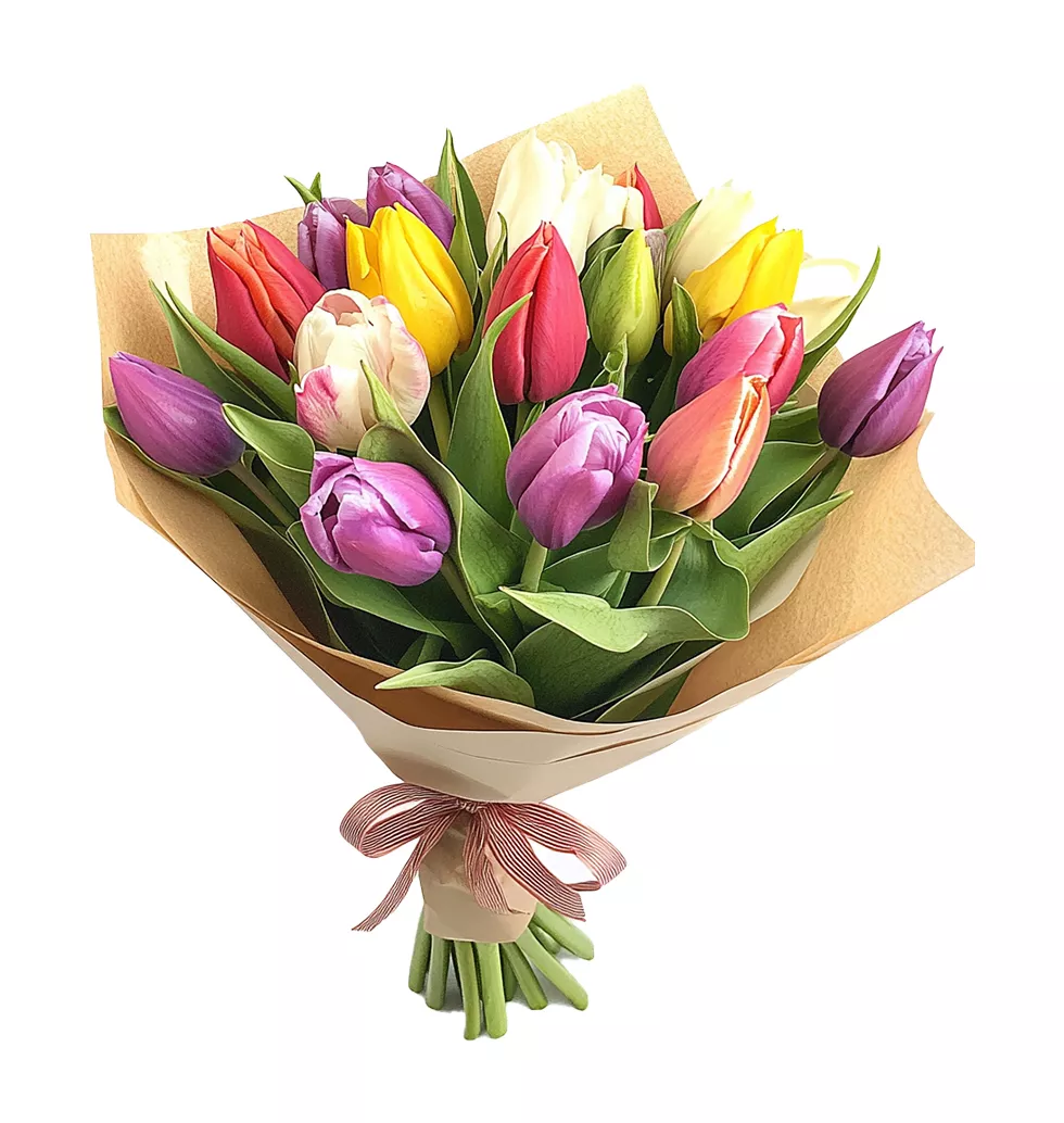 Charming Tulip Collection