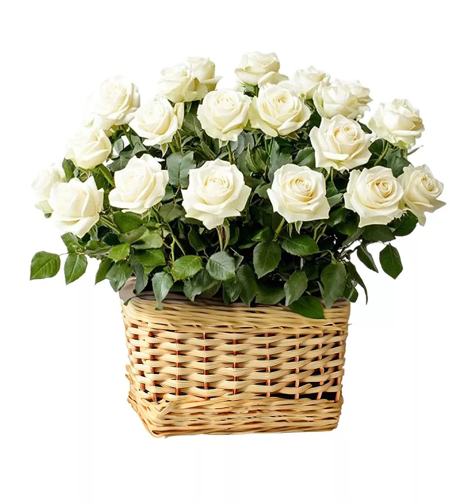 Serenity in White: 18 Rose Arrangement