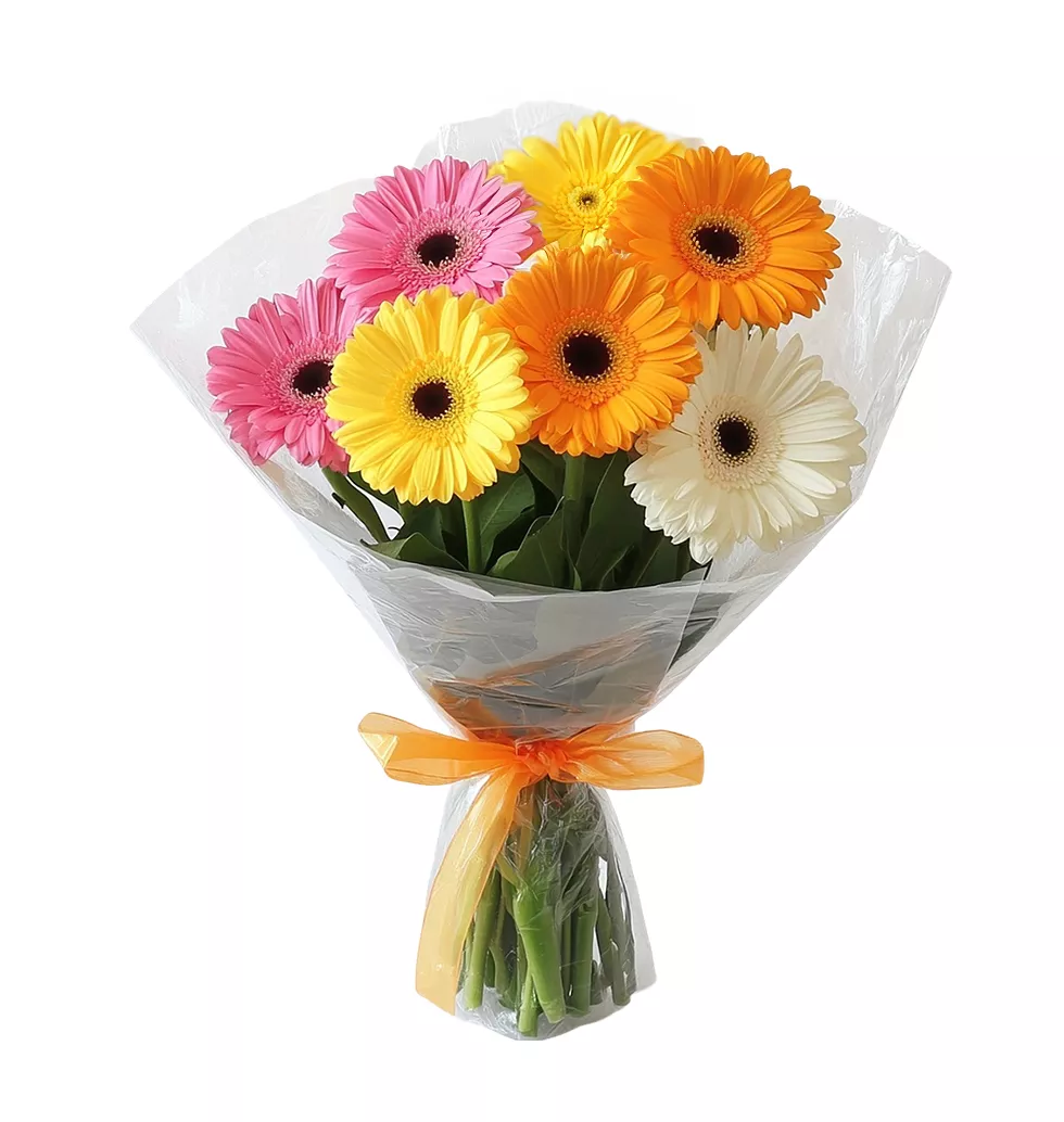 Cheerful Gerbera Bouquet