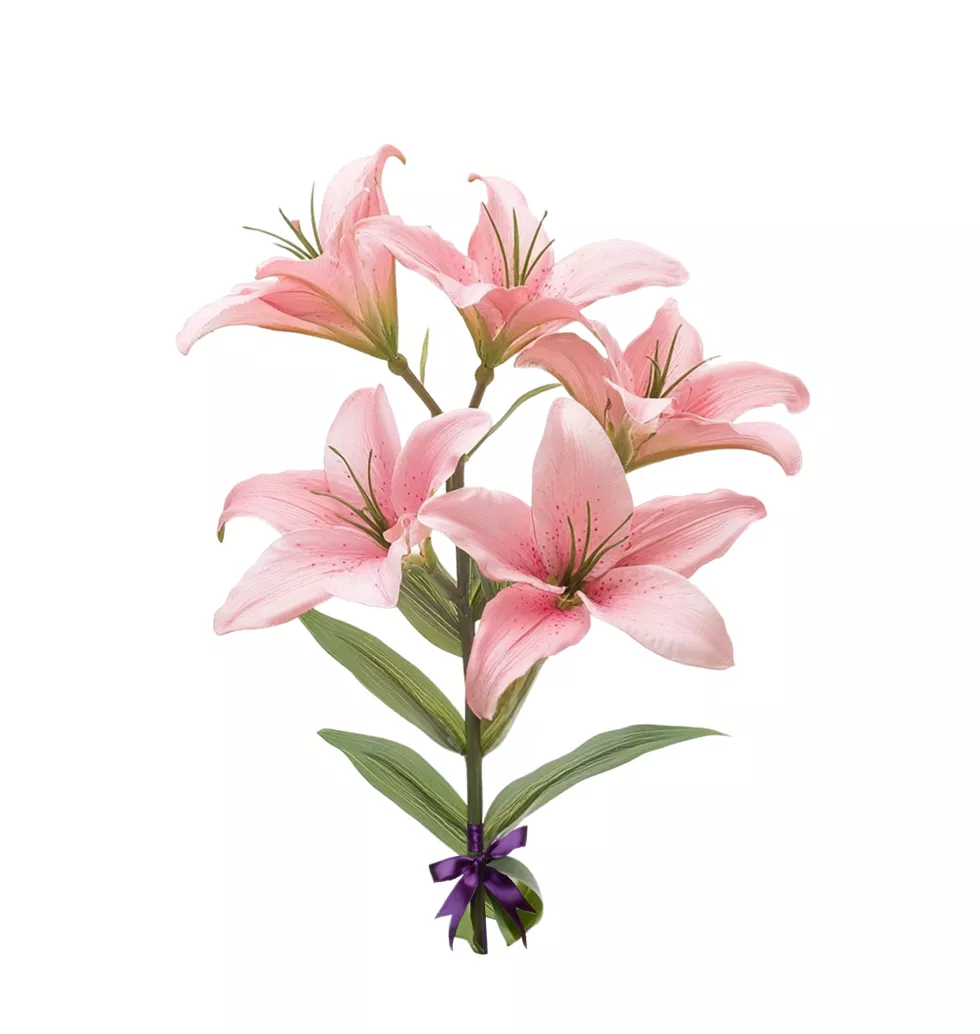 Lush Pink Lilium Blooms