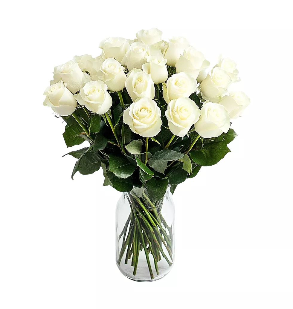 The Classic White Rose Collection