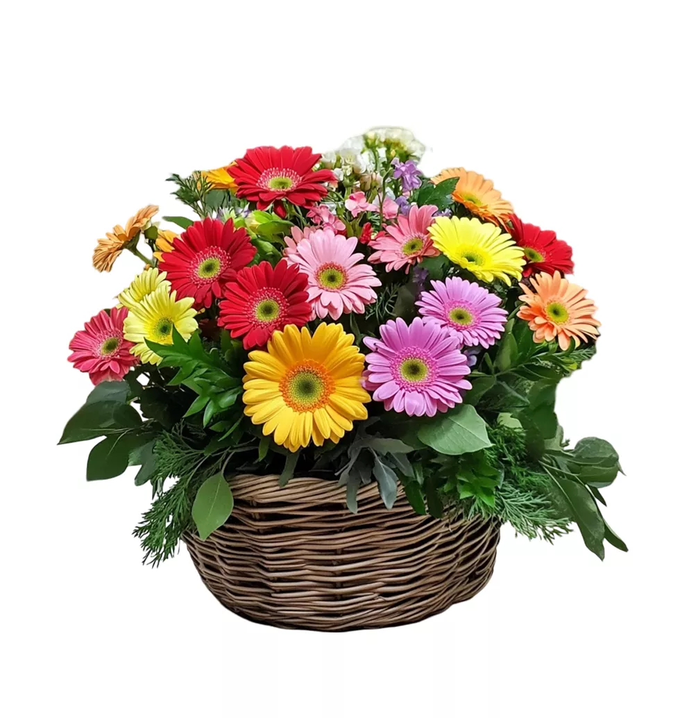 Radiant Gerbera Bouquet