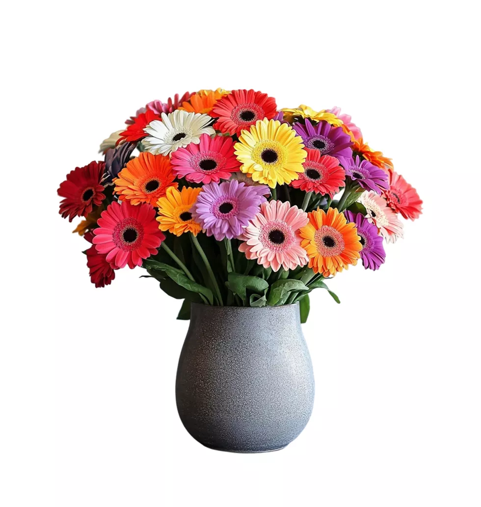 Joyful Mixed Gerbera Arrangement