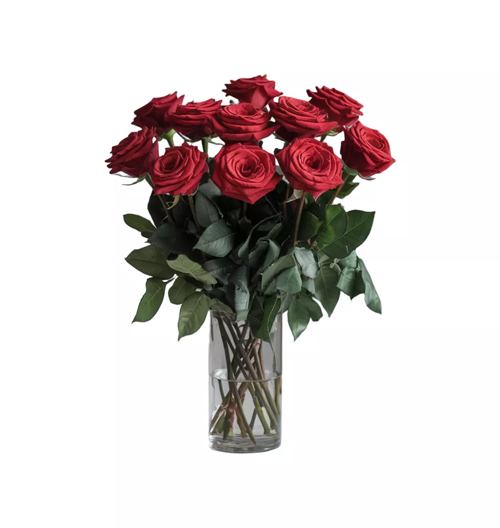 Refreshing Bouquet of Fresh Roses