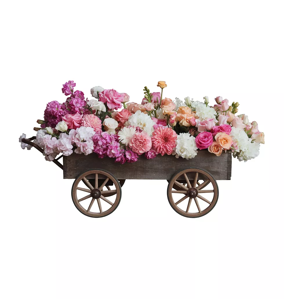 Vintage Carnations in Wooden Wheelbarrow